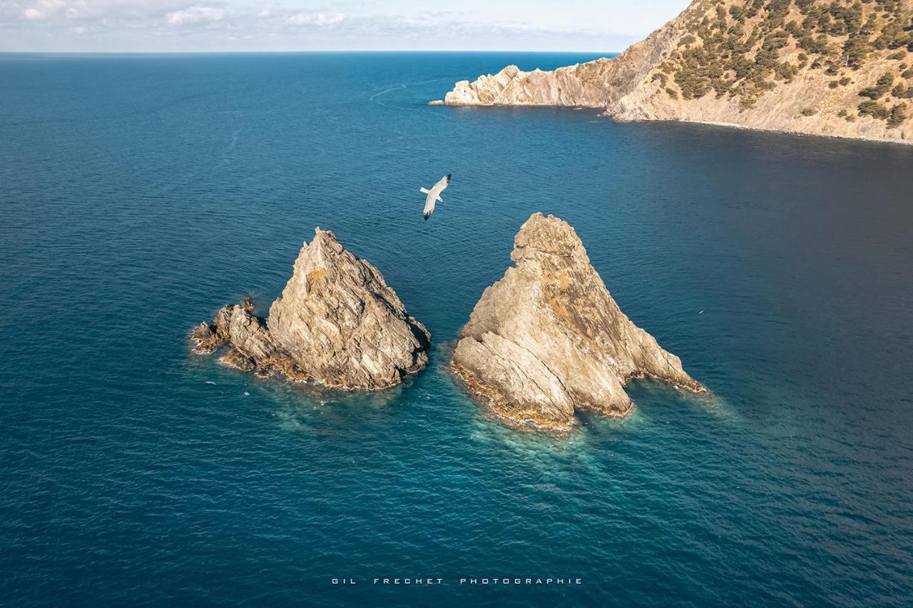 Les 2 Freres - La Fontaine Les Sablettes Apartamento La Seyne-sur-Mer